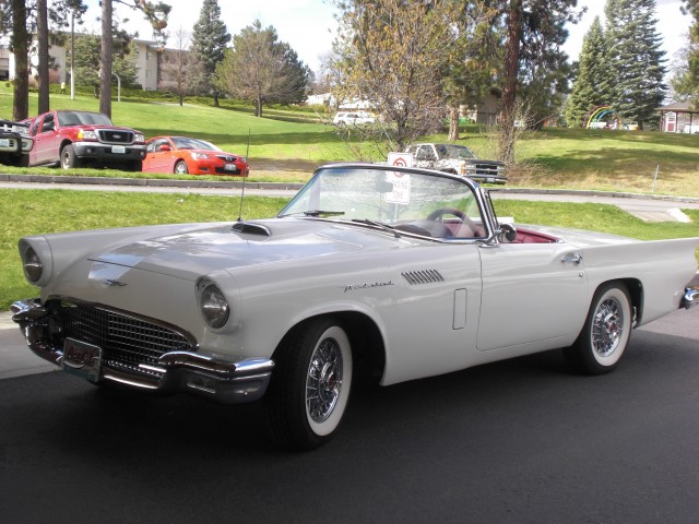 Agency Photo  (106202)