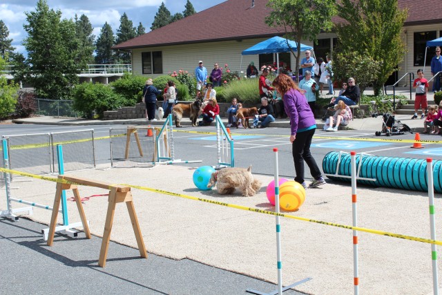 Agency Photo  (106191)