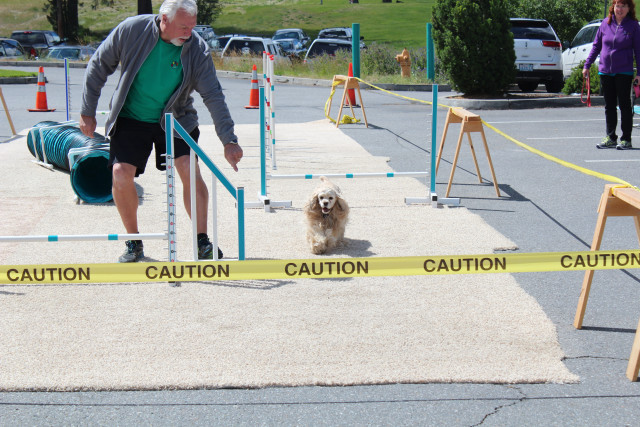 Agency Photo  (116620)