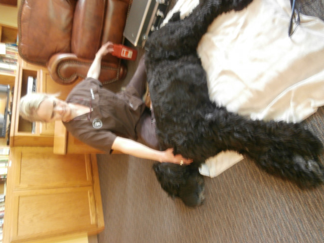 Agency Photo  (116618)