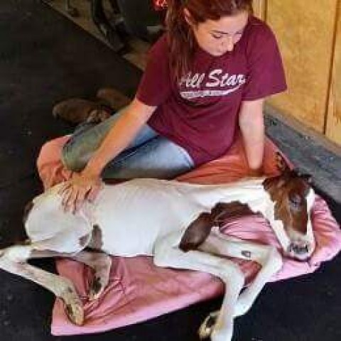 Agency Photo  (107210)