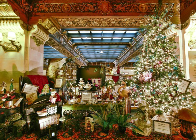 Agency Photo  (114637)