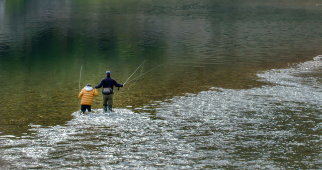 Agency Photo  (118893)