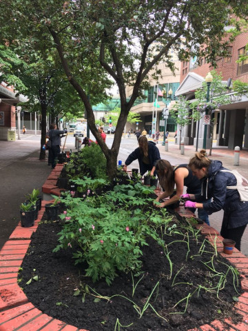 Agency Photo  (122969)