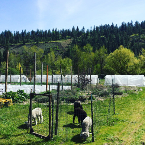 Program Photo  (130204)