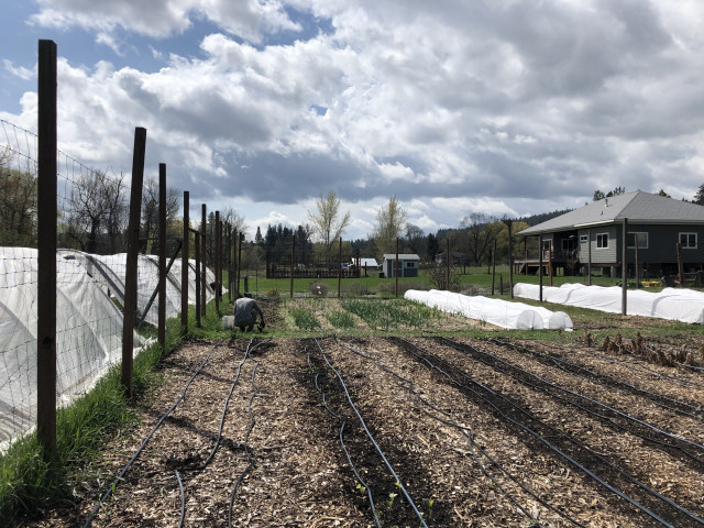 Program Photo  (130207)