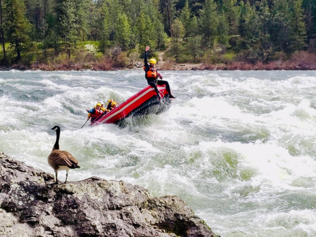 Agency Photo  (140311)