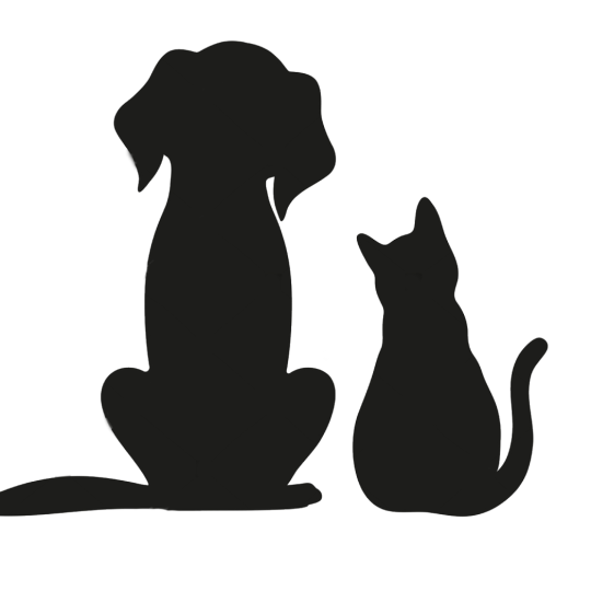 Agency Logo