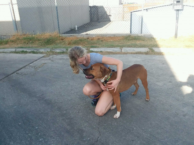 Agency Photo  (139207)