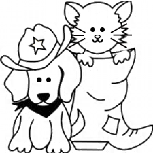 Agency Logo