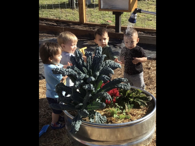 Agency Photo  (194849)