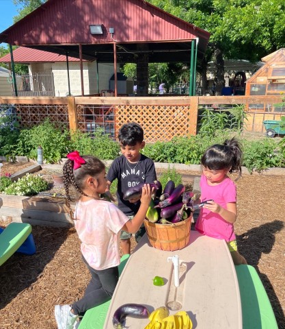 Agency Photo  (194843)