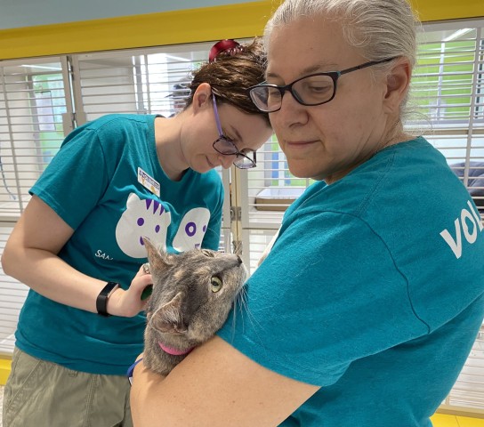 Agency Photo  (206880)