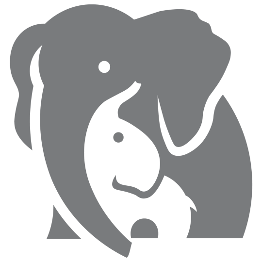 Agency Logo