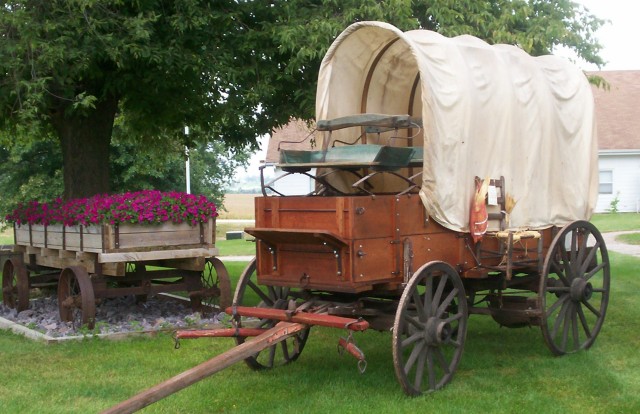 Agency Photo  (196092)