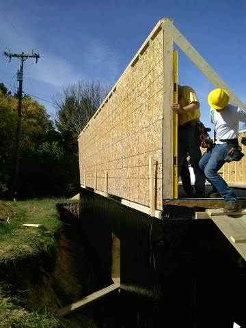 Agency Photo  (30407)