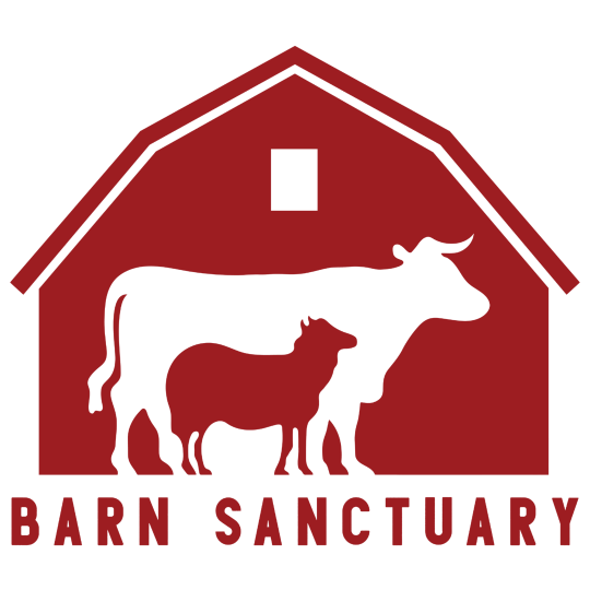 Community Partner Logo