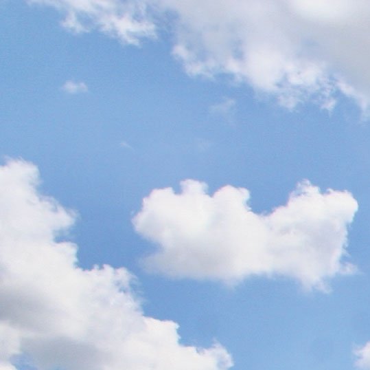 Community Partner Logo