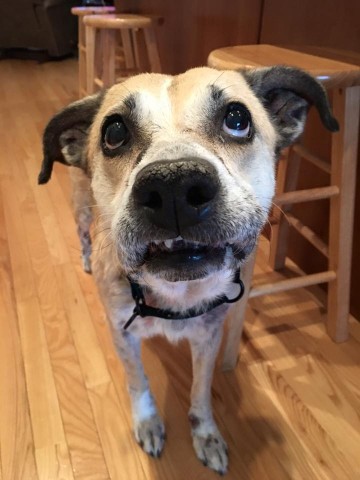 Organization Photo  (79938)