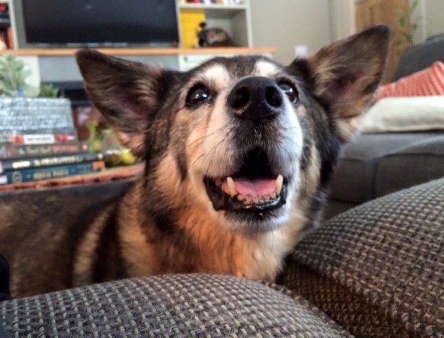 Organization Photo  (79937)