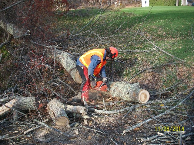 Organization Photo  (84145)