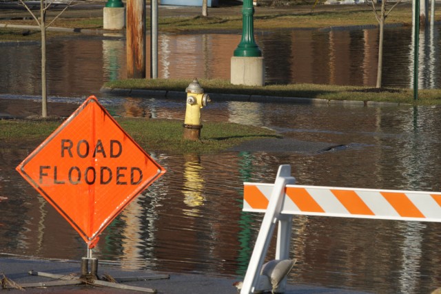 Organization Photo  (84141)