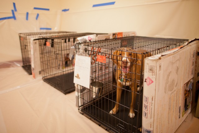 Organization Photo  (84148)