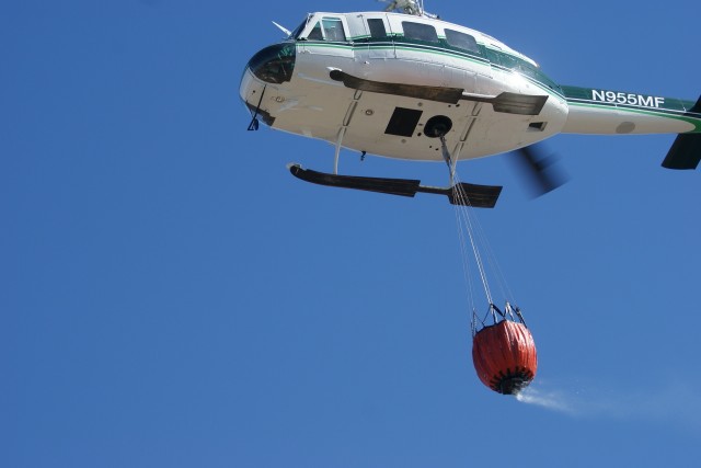 Organization Photo  (84146)