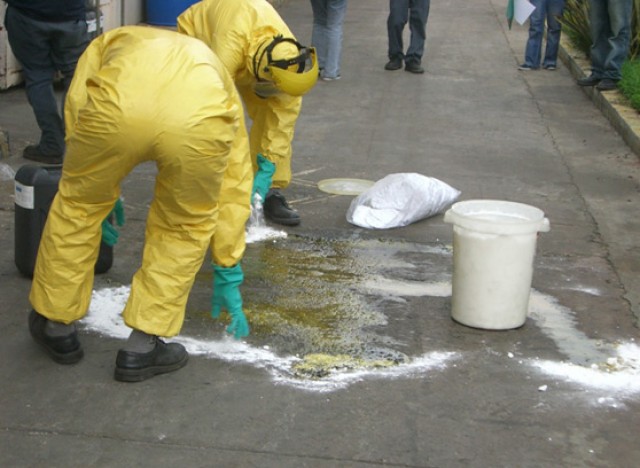 Organization Photo  (84140)