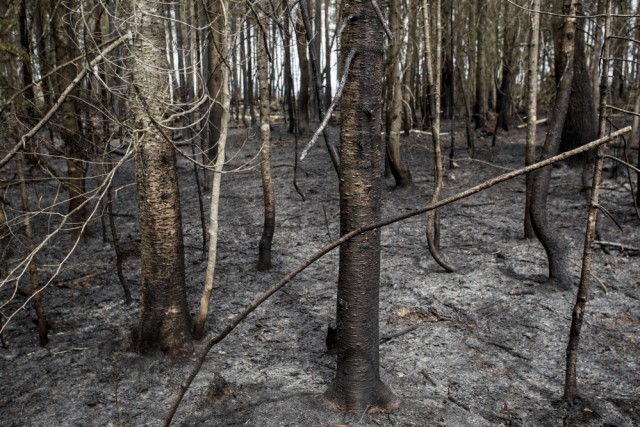 Organization Photo  (84142)