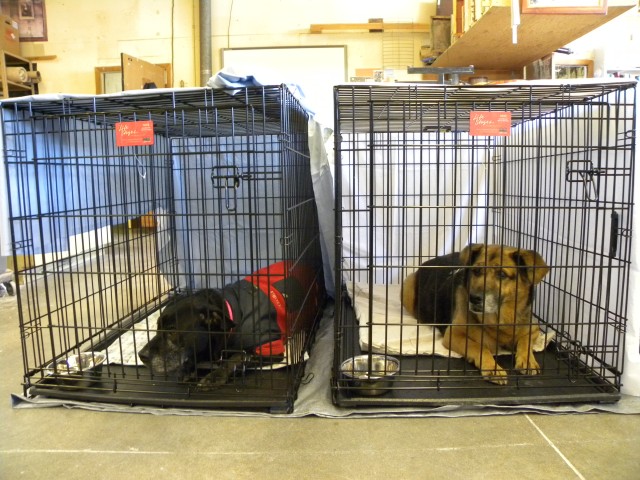 Organization Photo  (85179)