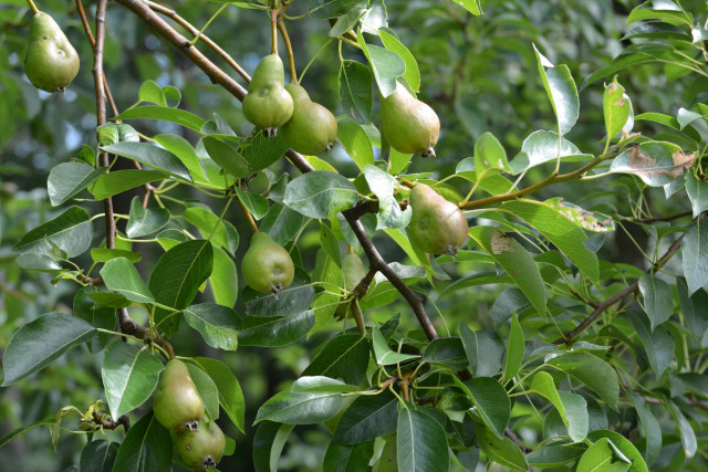 Organization Photo  (135874)