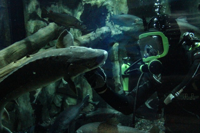 Agency Photo  (181582)