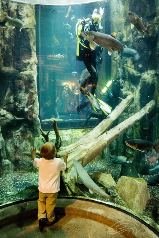 Agency Photo  (106725)