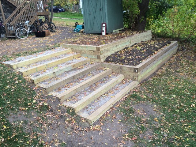 Agency Photo  (56676)