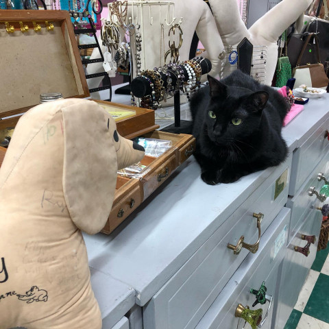 Agency Photo  (142163)