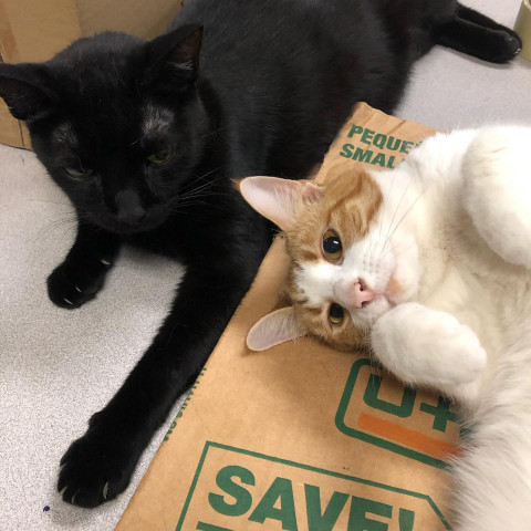 Agency Photo  (142165)