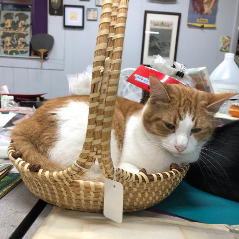 Agency Photo  (142164)