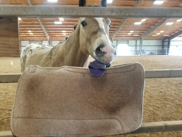 Agency Photo  (153347)