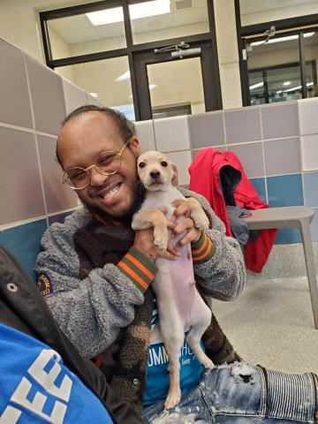 Agency Photo  (168230)