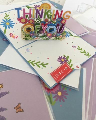 Agency Photo  (199151)