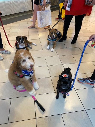 Agency Photo  (206536)