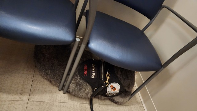 Agency Photo  (206535)