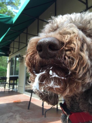 Agency Photo  (206537)