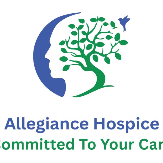 Agency Logo