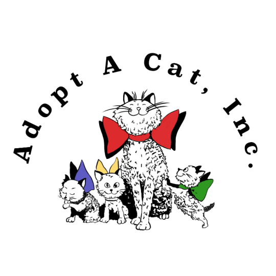 Agency Logo