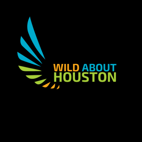 Agency Photo  (166624)