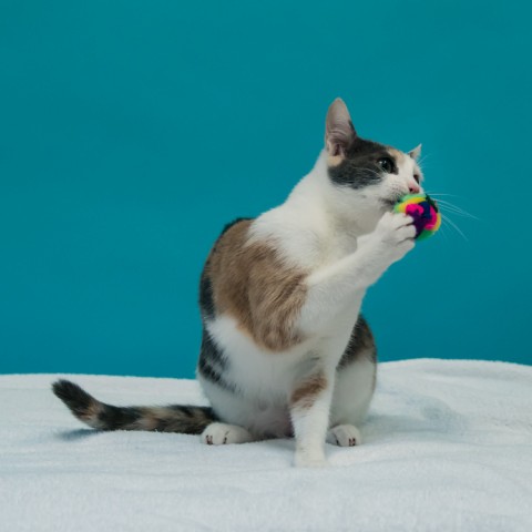Agency Photo  (100285)