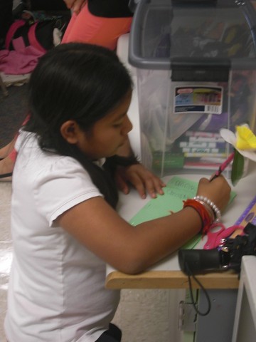 Agency Photo  (31404)