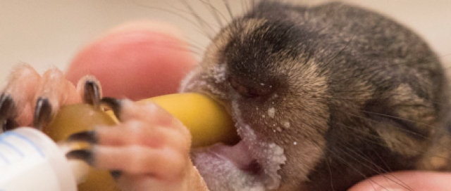 Agency Photo  (116558)